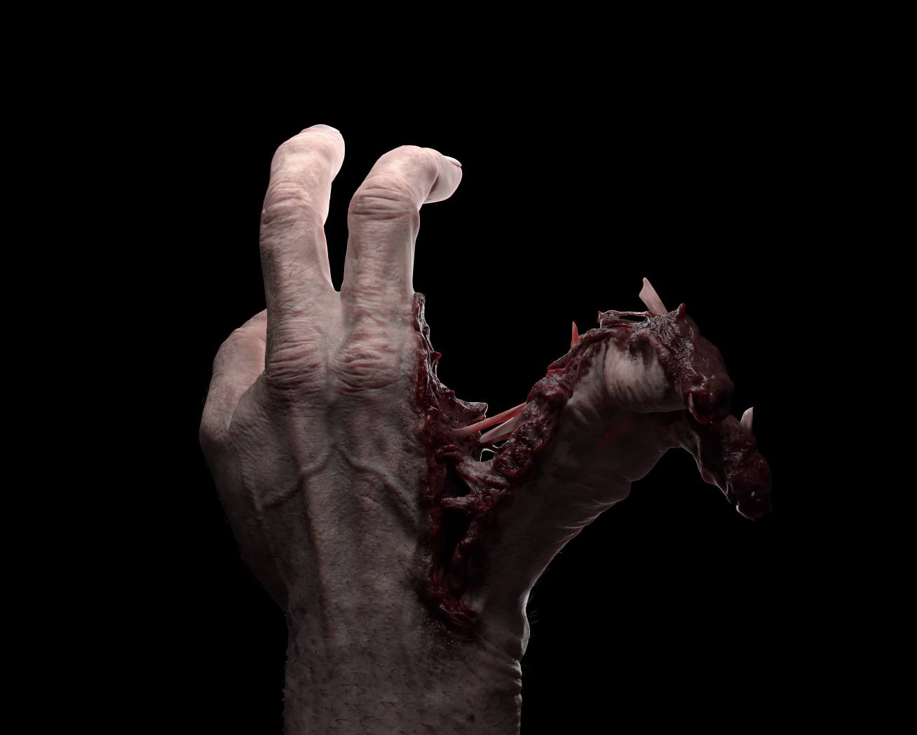 Hand Prop