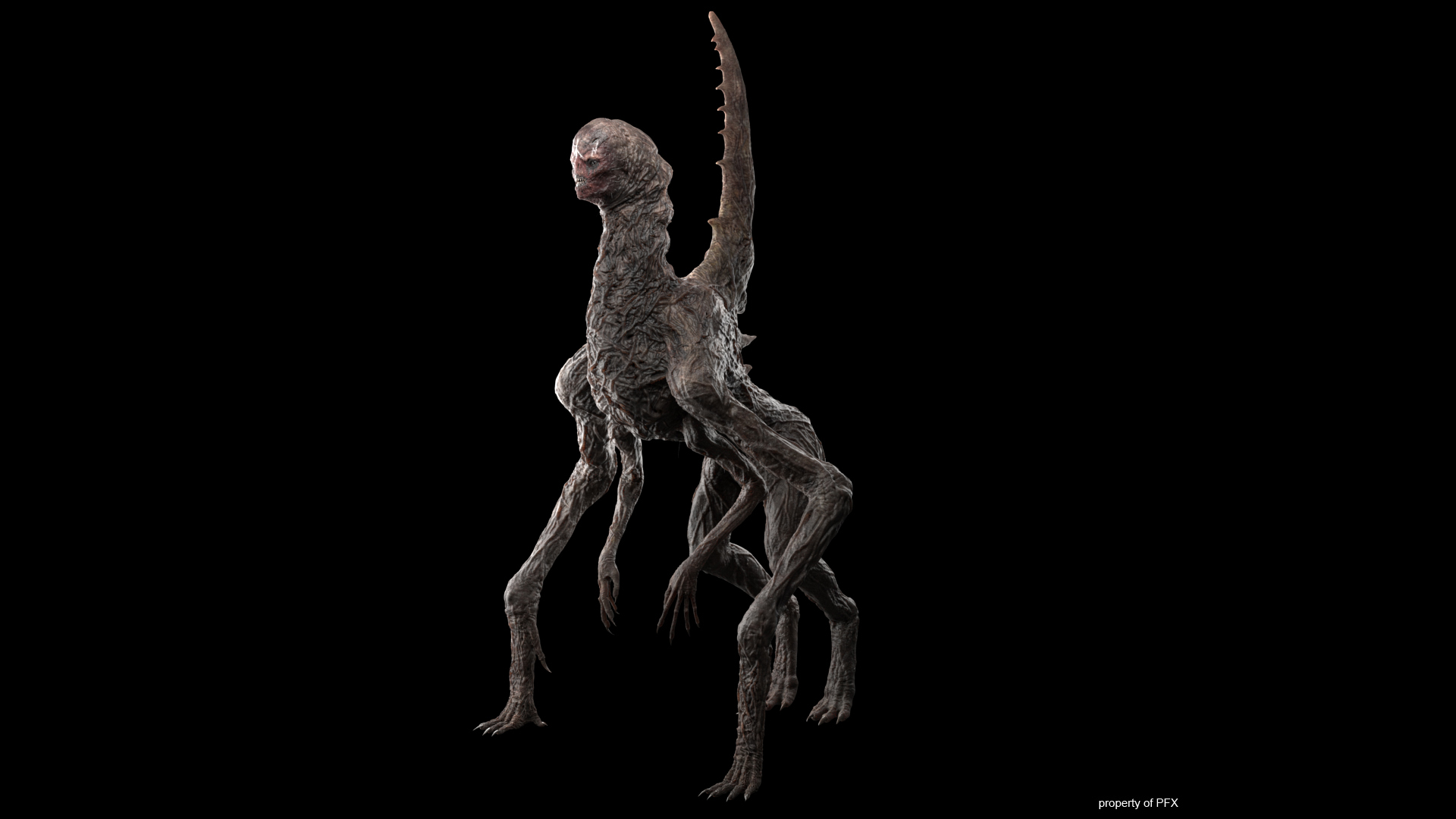 Cracow Monsters