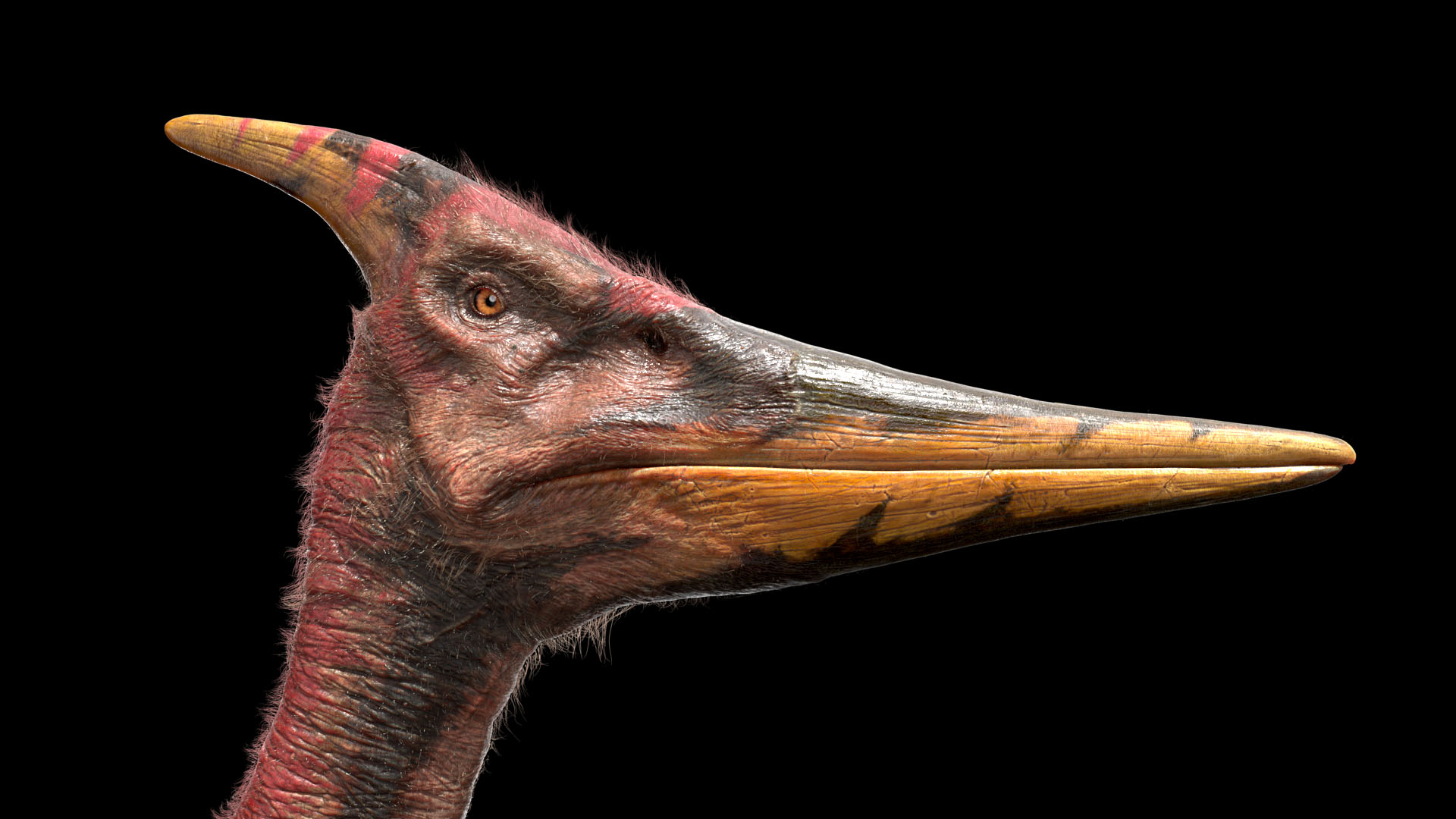 Pteranodon