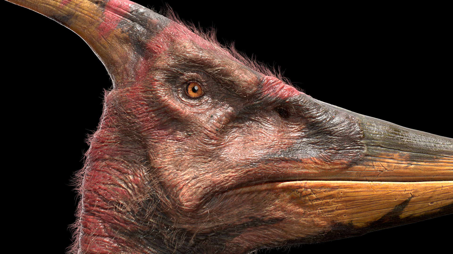 Pteranodon 2