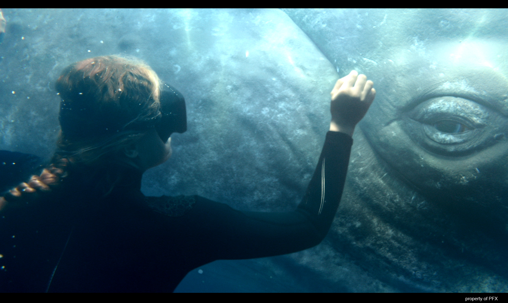 Whale 3